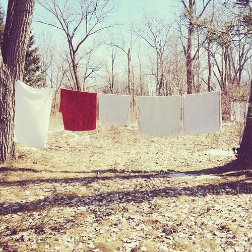 Find momo on laundry day.