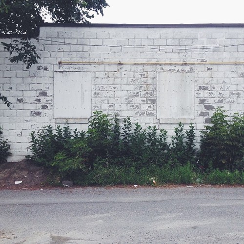 Find Momo in the alley. (at The Doghouse)