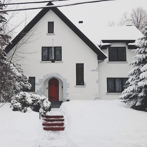 Find momo in a house portrait.