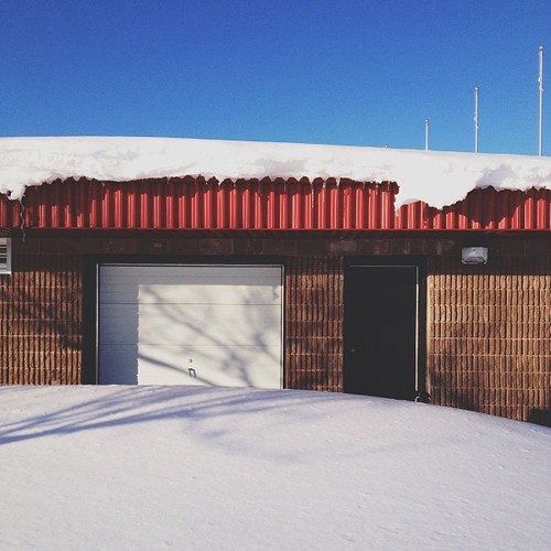 Find momo at a snow blanketed sports complex. (at James Jerome Sports Complex)