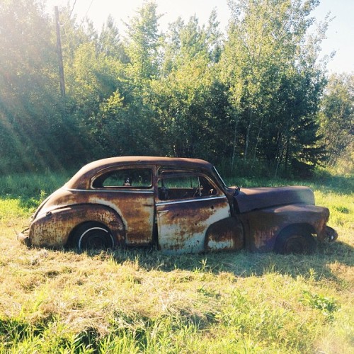Find Momo with an abandoned ‘32 Chevy. #findmomo  (at Webbwood)