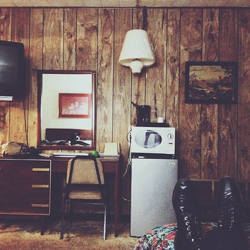 Find momo in a shady motel.