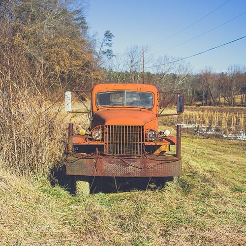 Find Momo and identify that truck!
