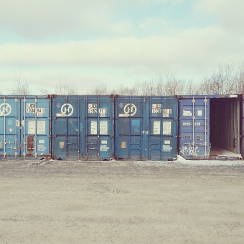 Find momo around some storage containers.